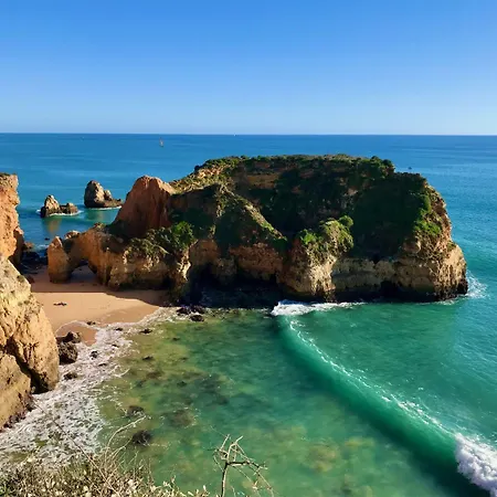 Brightness By Homing * Alvor